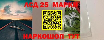 дмт Кингисепп