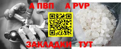 дмт Кингисепп