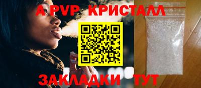 дмт Кингисепп